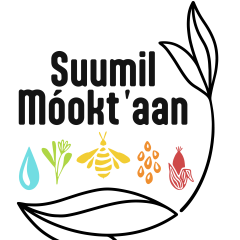 Suumil Móokt'aan